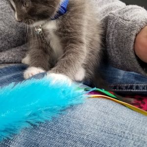 Meet your Posher, Pat